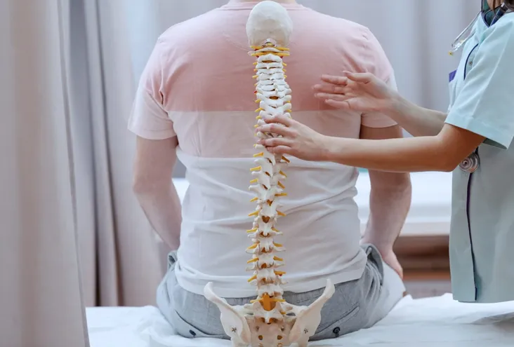 مزایای استفاده از صندلی‌های پشت توری برای حفظ سلامتی ستون فقرات